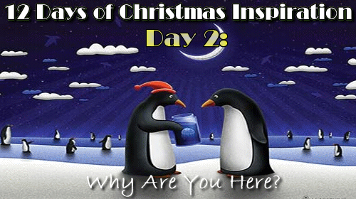 Day 2 of our 12 days of Christmas inspiration