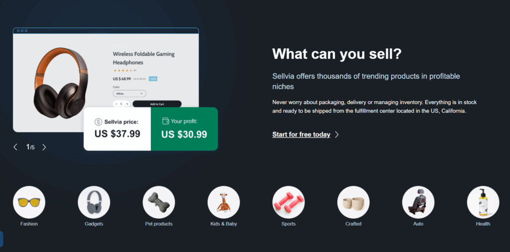Proven E-commerce Niches Bloggers Can Tap Into in 2025